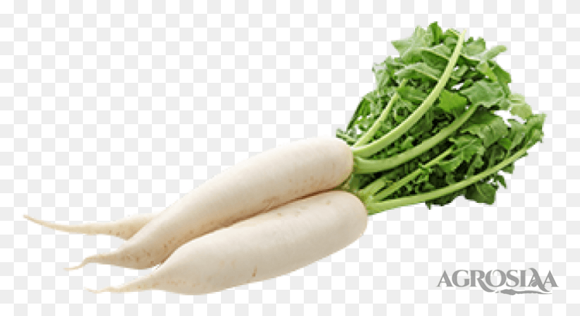 784x401 Ankur Single Vegetables Images, Plant, Radish, Vegetable HD PNG Download