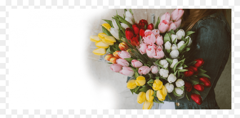 1474x666 Annie Spratt Dzien Kobietet 2019 Zyczenia, Plant, Flower, Blossom HD PNG Download