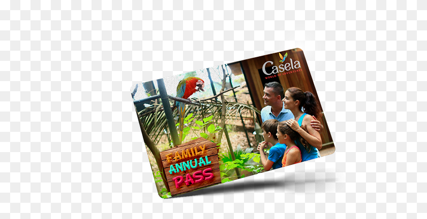 535x372 Annual Family Pass Flyer, Person, Human, Monitor HD PNG Download
