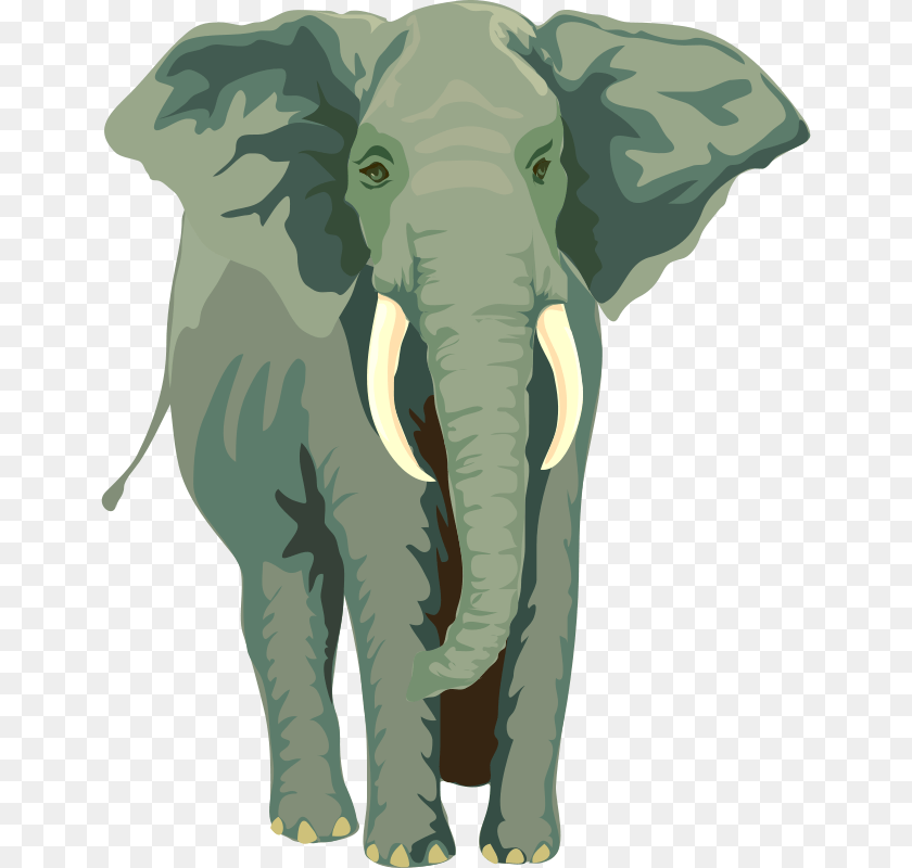 Anonymous Architetto Elefante, Baby, Person, Animal, Mammal PNG
