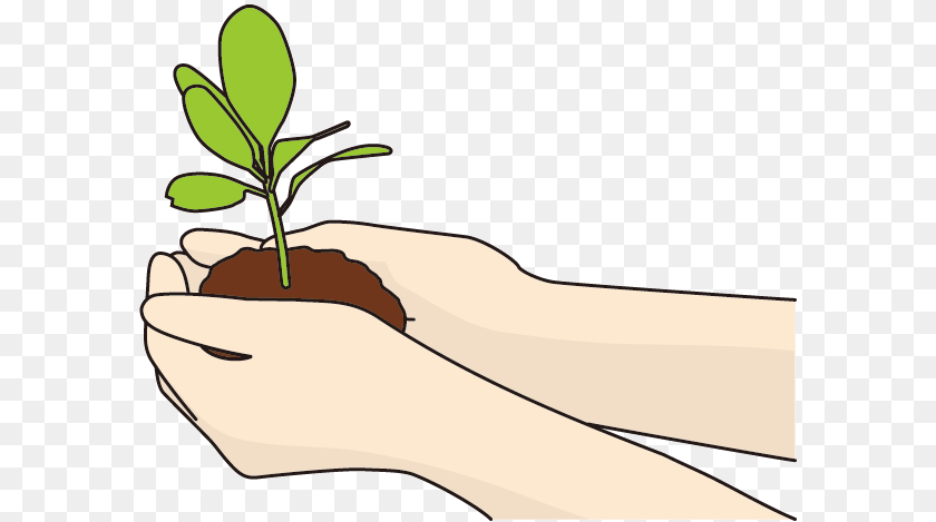 Another Opportunity Three Widsom, Leaf, Plant, Planting, Person Sticker PNG
