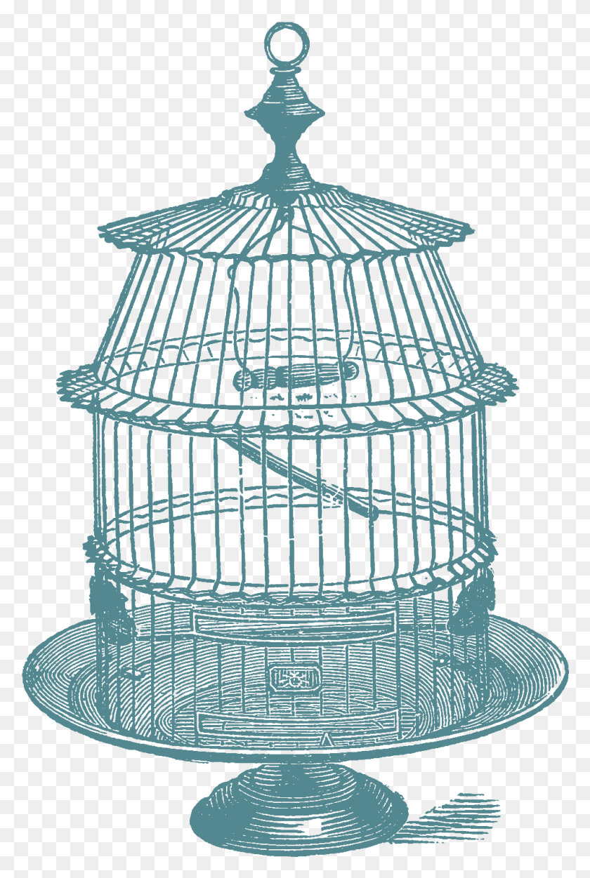 991x1514 Another Set Of Bird Cage Stock Images Oh So Nifty Vintage Drawing, Spiral HD PNG Download