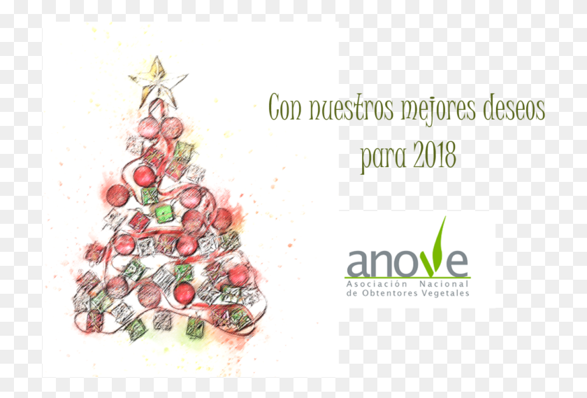 720x509 Anove Os Desea Feliz Navidad Y Prspero Anove, Растение, Графика Hd Png Скачать