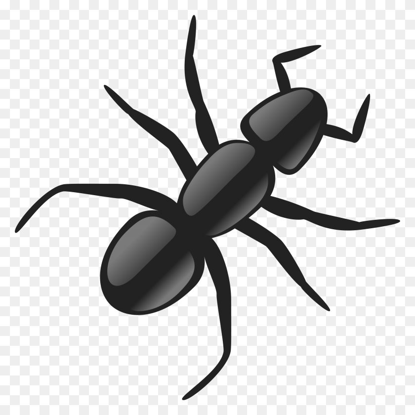 2341x2342 Ant Ant Clip Art, Insect, Invertebrate, Animal HD PNG Download