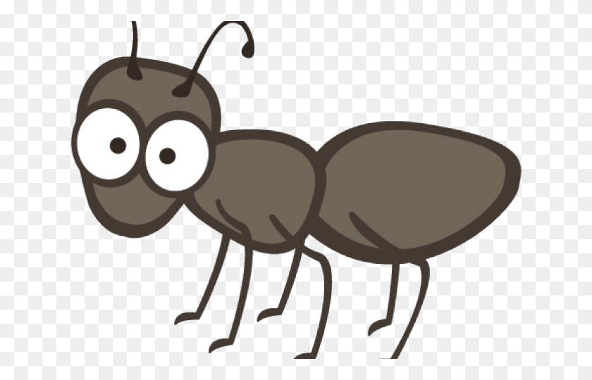 640x480 Ant Clip Art Black And White, Insect, Invertebrate, Animal HD PNG Download