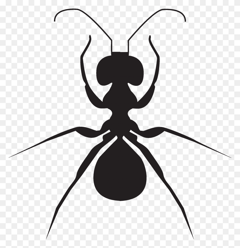 2171x2247 Ant Clipart Ant, Insect, Invertebrate, Animal HD PNG Download