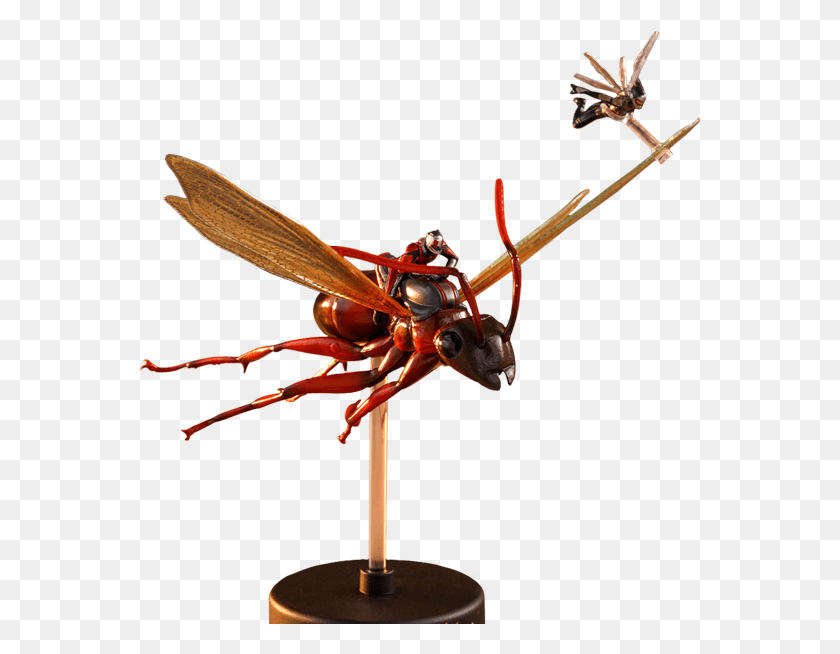 563x594 Ant Man And The Wasp Hot Toys Ant Man And The Wasp Fly, Bee, Insect, Invertebrate HD PNG Download