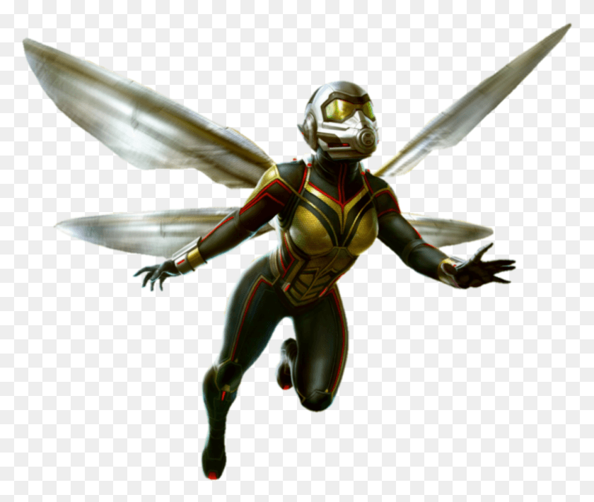1003x837 Ant Man Ant Man Wasp, Bee, Insect, Invertebrate HD PNG Download