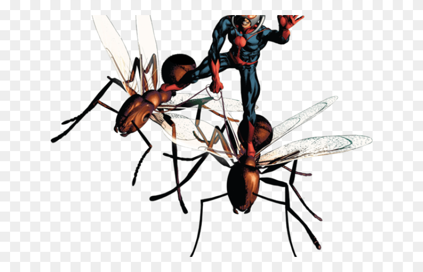 640x480 Ant Man Transparent Images Ant Man Comics, Person, Human, Ninja HD PNG Download