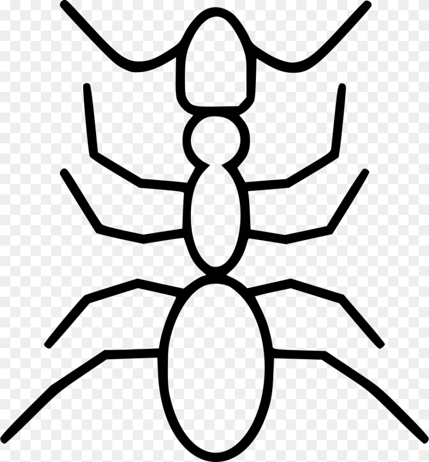 Ant Orb Weaver Spider, Animal, Insect, Invertebrate, Kangaroo PNG