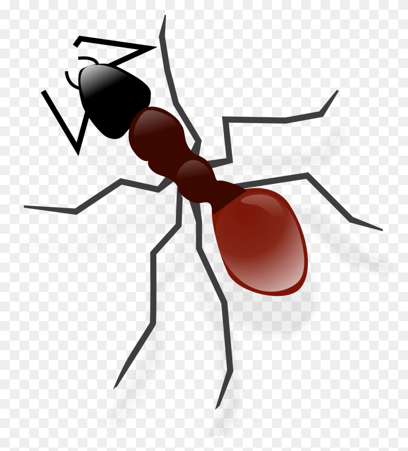 1692x1881 Ant Transparent Image Formiga Desenho, Insect, Invertebrate, Animal HD PNG Download