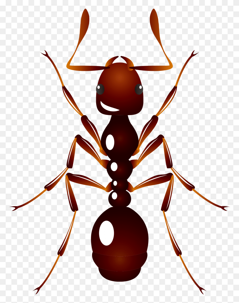 1524x1963 Ant U6606u866b U8682u8681 Insect Ant, Invertebrate, Animal, Lamp HD PNG Download