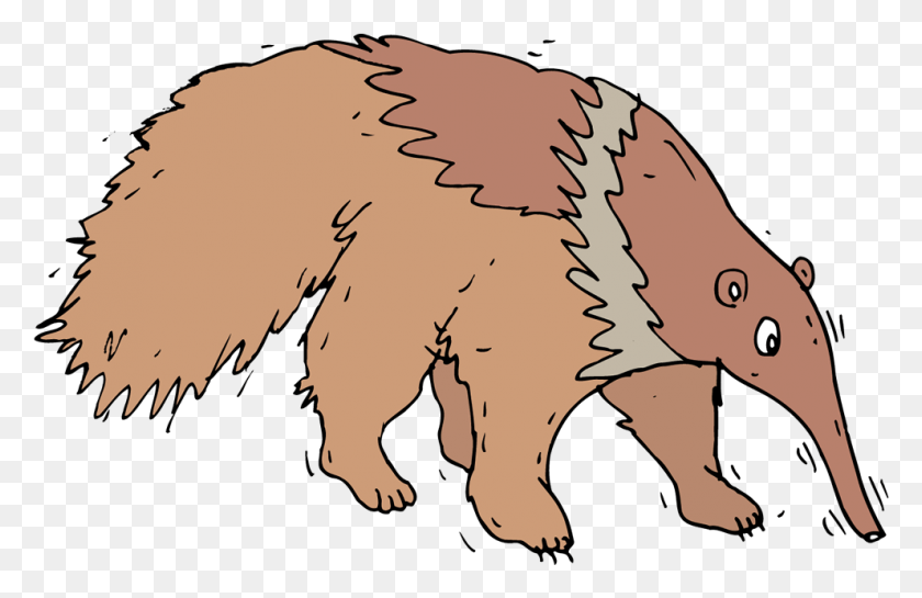 991x617 Anteater Porcupine, Plant, Tree, Animal HD PNG Download