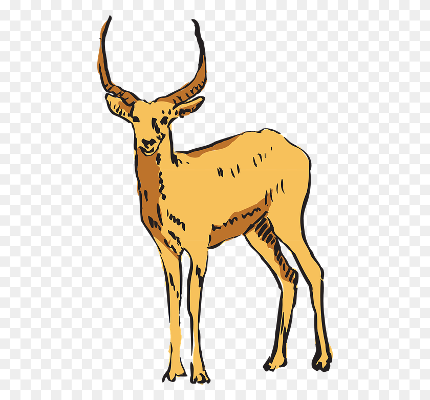 460x720 Antelope Clipart Transparent, Deer, Wildlife, Mammal HD PNG Download