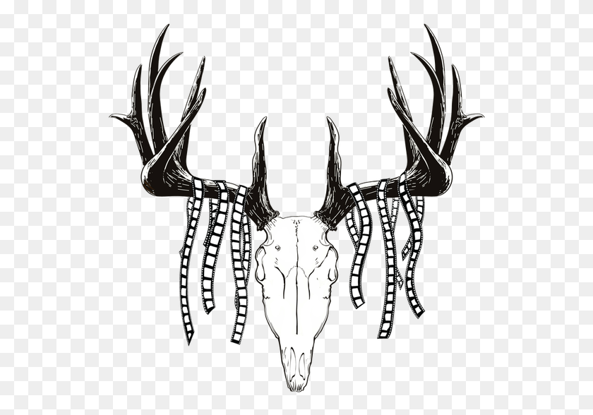 538x528 Antelope Drawing Antler Deer Head Logo Drawing, Mammal, Animal HD PNG Download