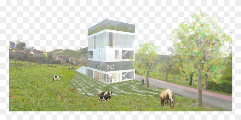 871x401 Anteproyecto Para Una Vivienda Unifamiliar Explotacin House, Лошадь, Млекопитающее, Животное Hd Png Скачать