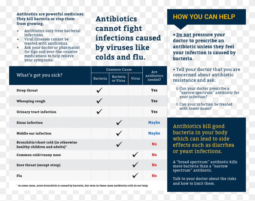 792x612 Antibiotics What You Should Know Brochure Brochure Ways To Prevent Human Impact Brochure, Text, Menu, Number HD PNG Download