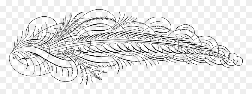 1498x492 Antique Calligraphy Feather Drawing Line Art, Gray, World Of Warcraft HD PNG Download
