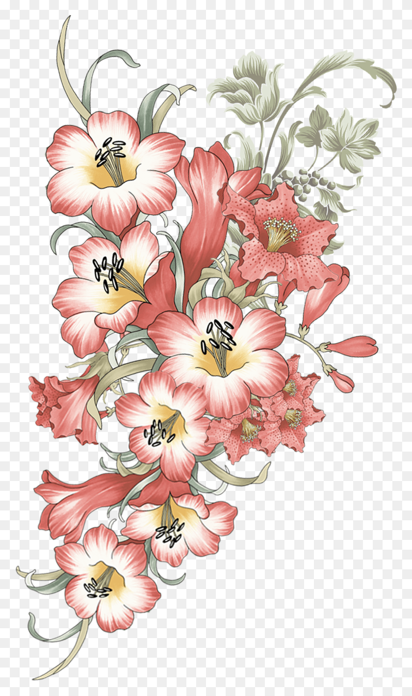 2318x4036 Antique Vector Flower Flower HD PNG Download