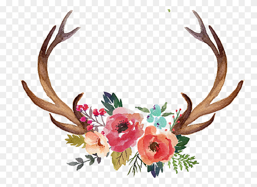 1145x808 Antler Flower Moose Clip Art Hand Painted Antlers With Flowers Clipart, Graphics, Pattern HD PNG Download