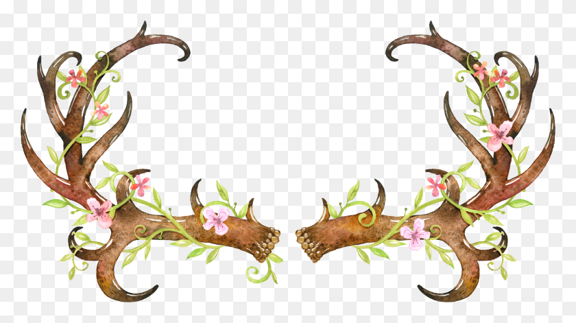 4255x2247 Antlers Transparent Clipart Free Ya Webdesign HD PNG Download
