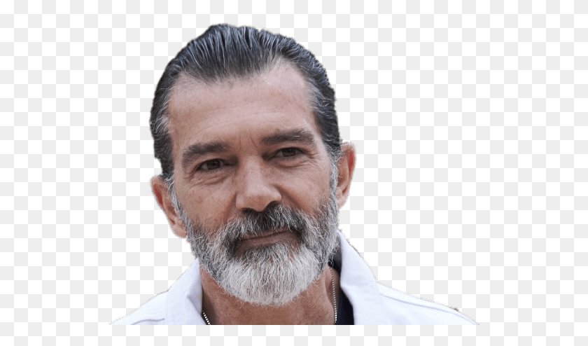 533x434 Antonio Banderas With Beard Antonio Banderas 2019, Face, Person, Human HD PNG Download