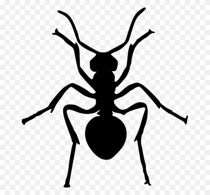 665x720 Ants Clipart Gambar Ant Silhouette, Gray, World Of Warcraft HD PNG Download