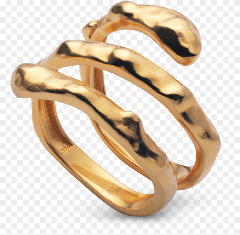 Anya Ring Maanesten, Accessories, Gold, Jewelry, Person Sticker PNG
