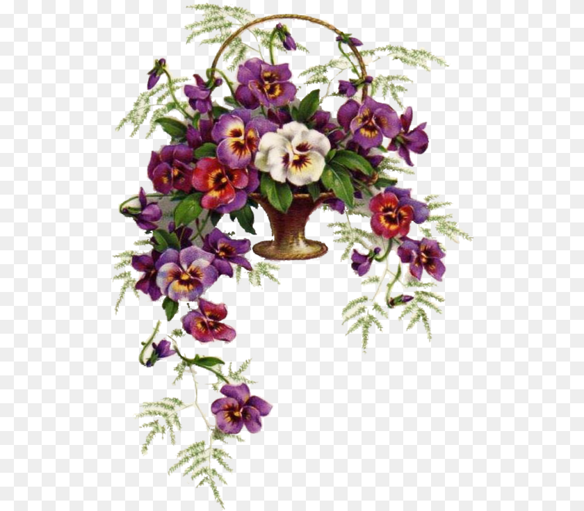 528x735 Anyutini Glazki Vishitie Krestom, Flower, Flower Arrangement, Plant, Purple Transparent PNG