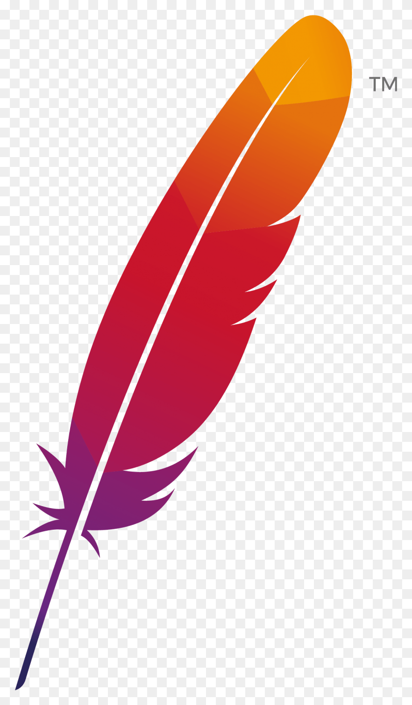 1187x2095 Логотип Apache Asf Apache Software Foundation Http-Сервер Apache Logo Svg, Бутылка, Растение, Бутылка С Чернилами Png Скачать