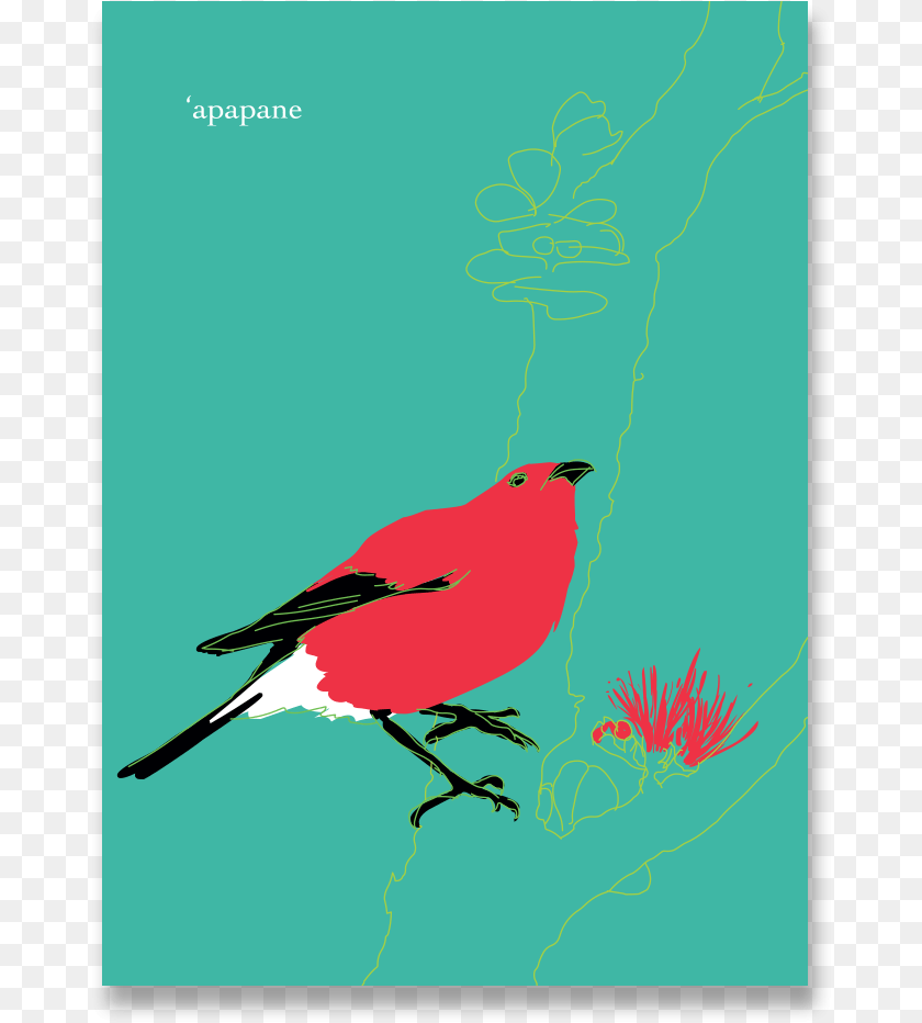 Apapane Notecard Apapane, Animal, Bird, Finch, Beak Sticker PNG