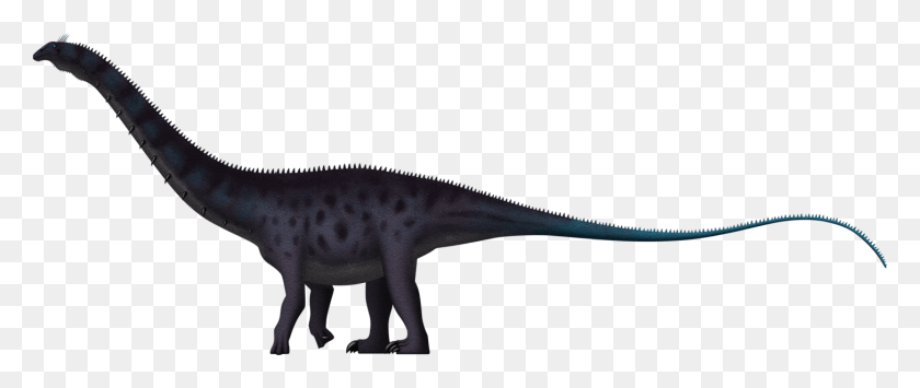 1454x550 Apatosaurus Brachiosaurus Brontosaurus Wildlife Apatosaurus, Dinosaur, Reptile, Animal HD PNG Download
