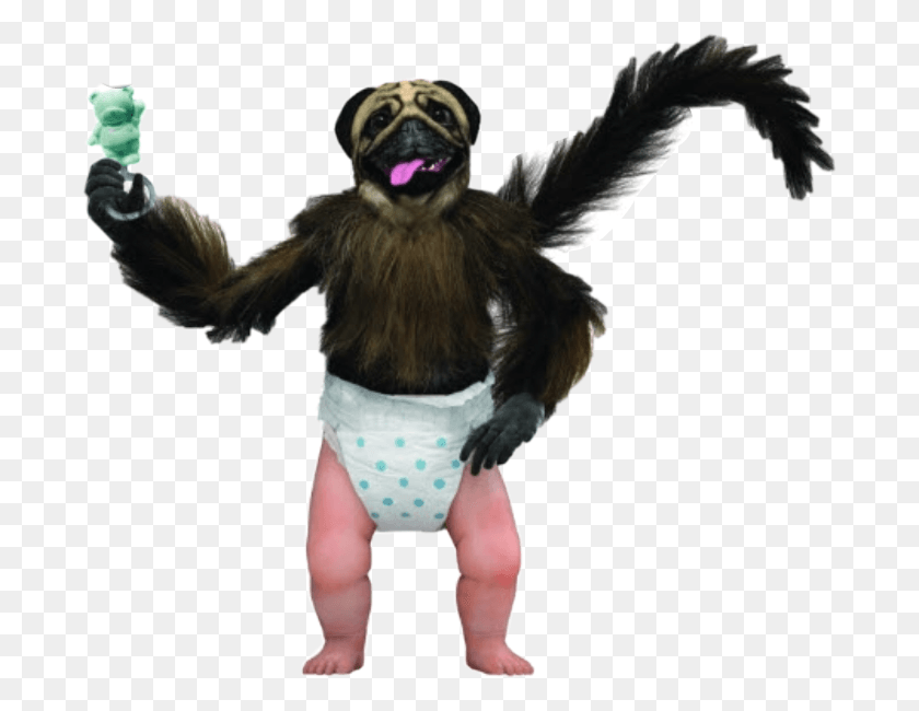 690x590 Ape Drawing Baby Puppy Monkey Baby Doll, Diaper, Person, Human HD PNG Download