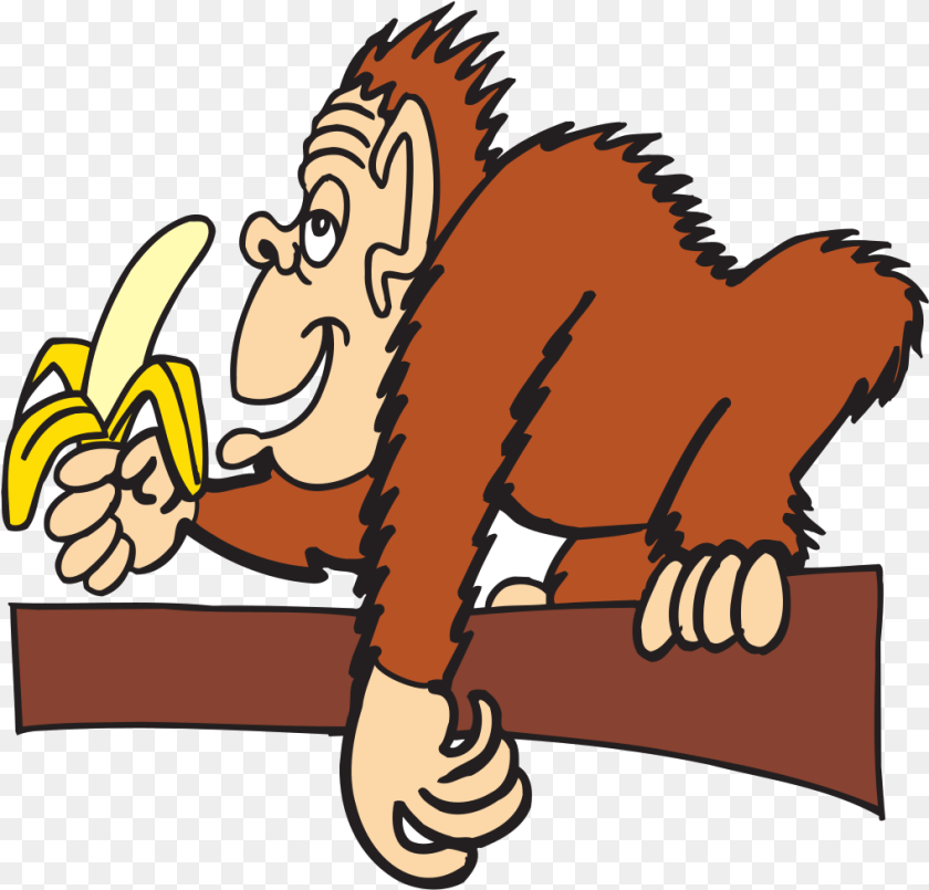 1018x975 Ape With A Banana Svg Clip Art For Monkey Eating Banana Animated Gif, Produce, Food, Fruit, Plant PNG