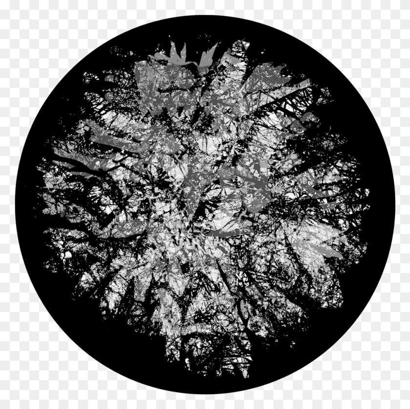 1001x1001 Apollo Design Sr 6210 Thick Canopy Bampw Superresolution Circle, Snowflake, Tree, Plant HD PNG Download