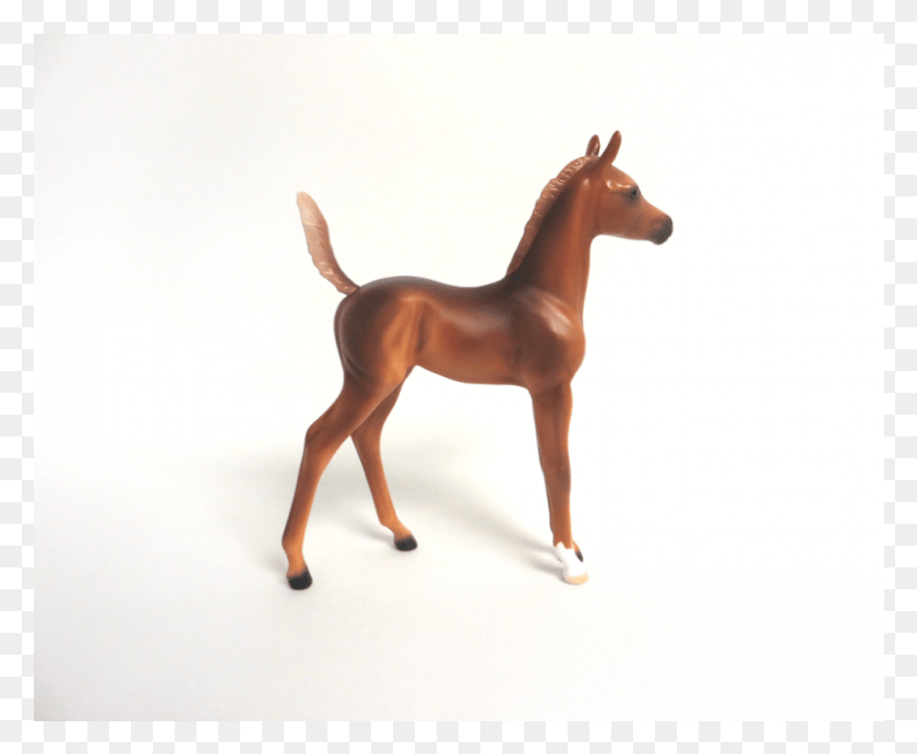 801x649 Apona Ooak Chestnut Arabian Foal Model Horse By Audrey Sorrel, Colt Horse, Mammal, Animal HD PNG Download