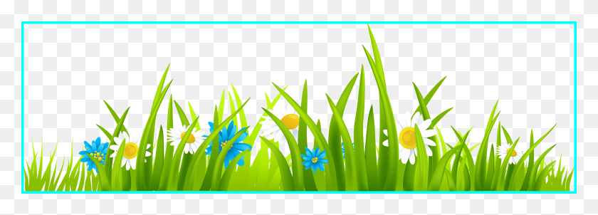 3430x1065 Appealing Grass Clip Art Diversos Pic Of Grass And Flower, Graphics, Plant HD PNG Download