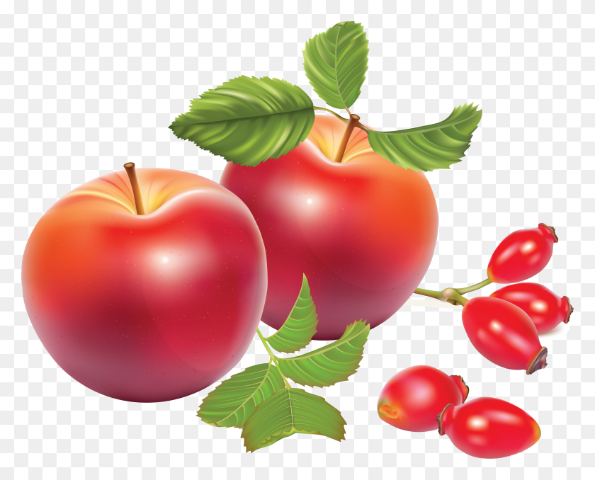 3491x2768 Apple, Plant, Fruit, Food HD PNG Download