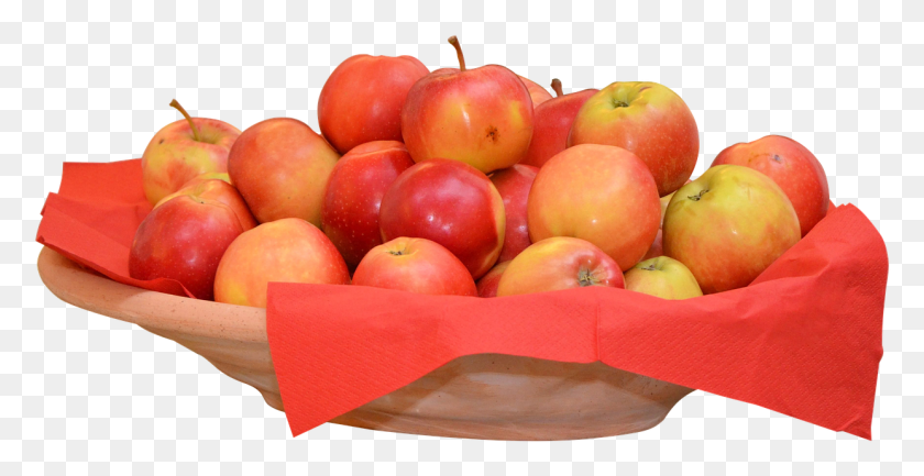 1241x594 Apple, Plant, Fruit, Food HD PNG Download