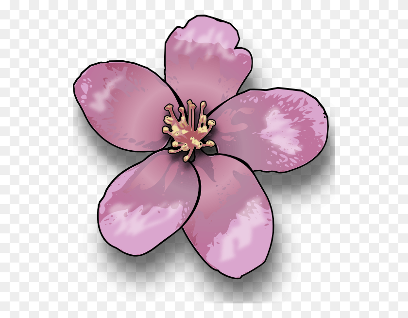 540x594 Apple Blossom Clip Art, Plant, Flower, Petal HD PNG Download