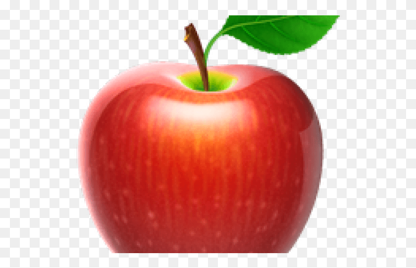 545x481 Apple Fruit Transparent Images Pomme Vectoriel, Plant, Lamp, Food HD PNG Download