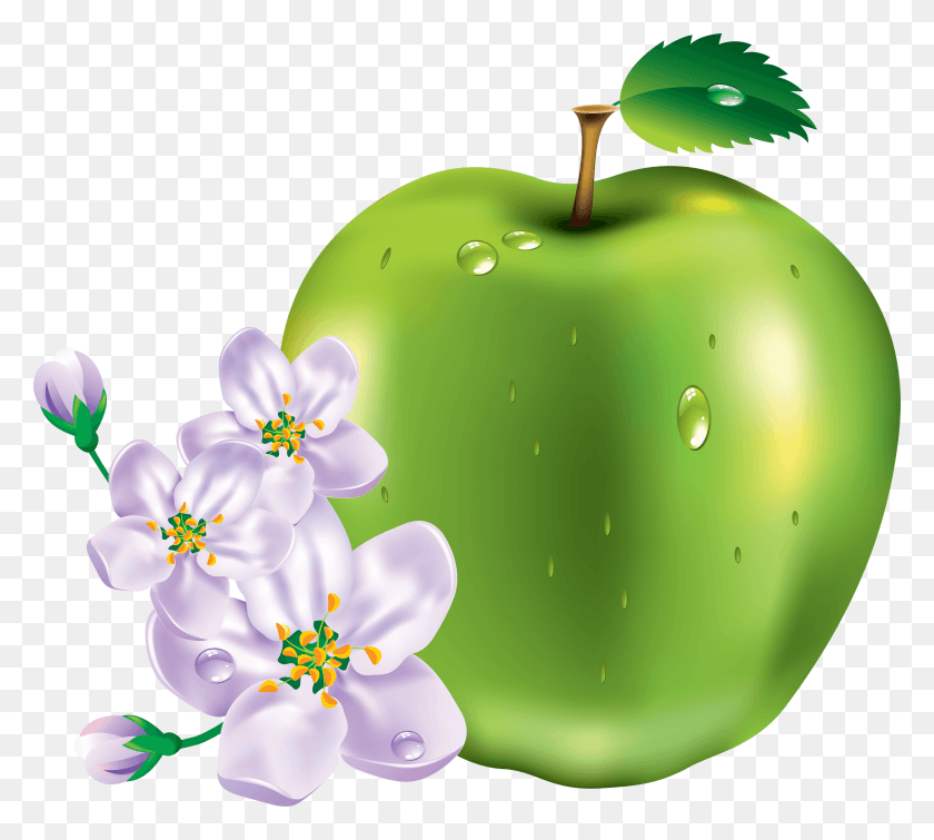 3498x3120 Descargar Png / Icono De Manzana Con Flor De Manzana Todo Tipo De Frutas, Planta, Fruta, Alimentos Hd Png