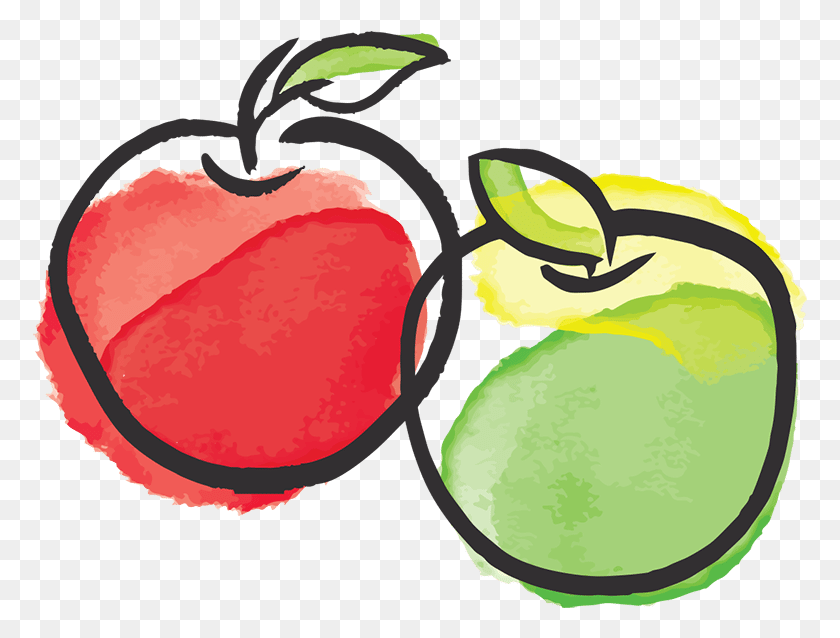 775x578 Apple Illustration, Plant, Food, Fruit HD PNG Download