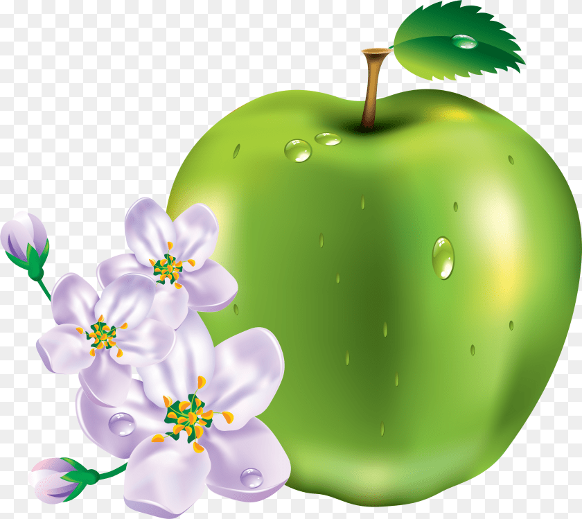 3499x3121 Apple Images Download All Kinds Of Fruits, Food, Fruit, Plant, Produce Transparent PNG