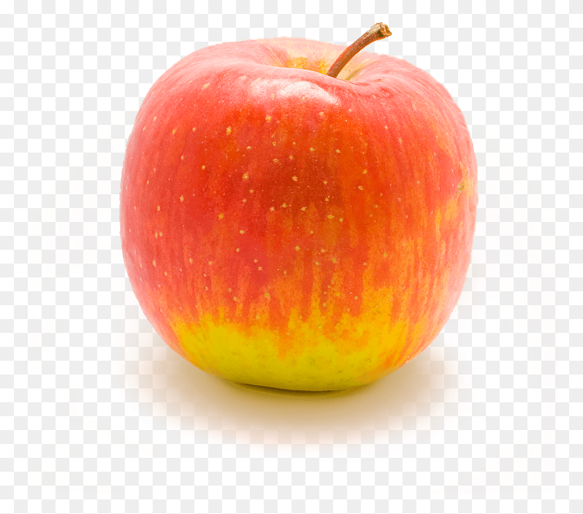 769x681 Apple In Lightbox Apple Transparency, Fruit, Plant, Food HD PNG Download