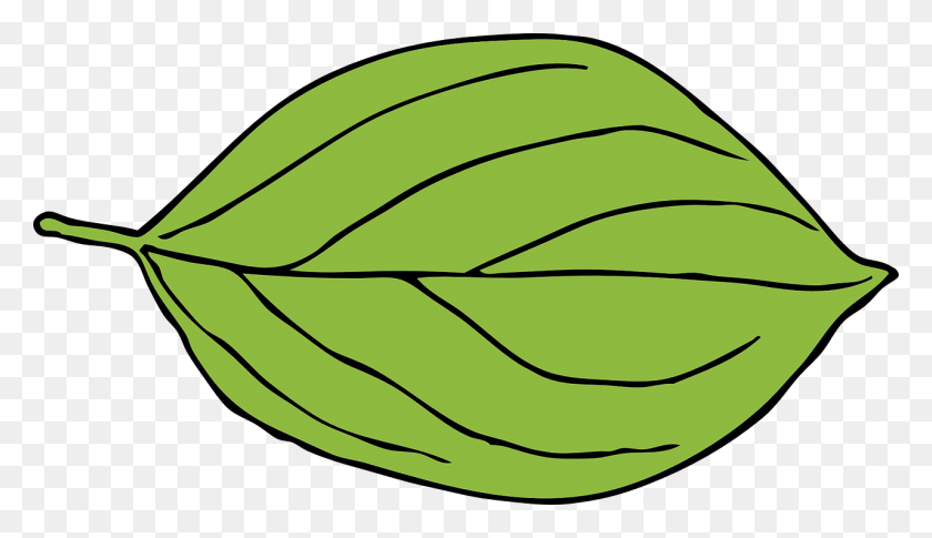 1280x698 Apple Leaf Green Oval Shape Image Leaf Clipart, Plant, Vegetable, Food HD PNG Download