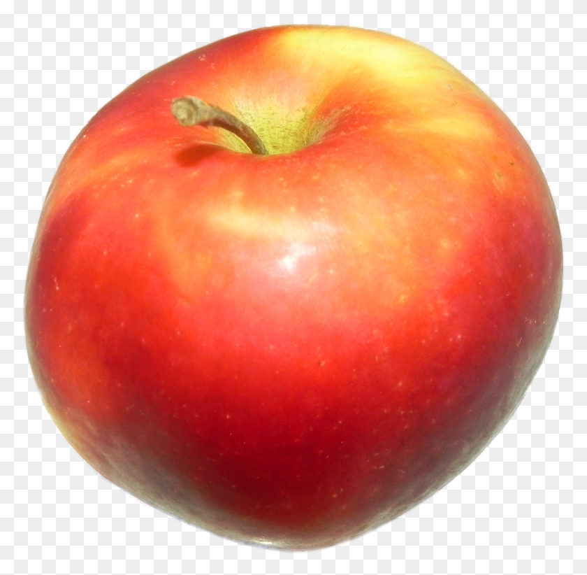 1764x1724 Apple Red 1 Bush Tomate, Fruta, Planta, Alimentos Hd Png