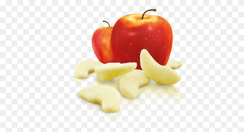488x395 Descargar Png Rebanadas De Manzana Mcdonalds Happy Meal Manzanas, Planta, Fruta, Alimentos Hd Png