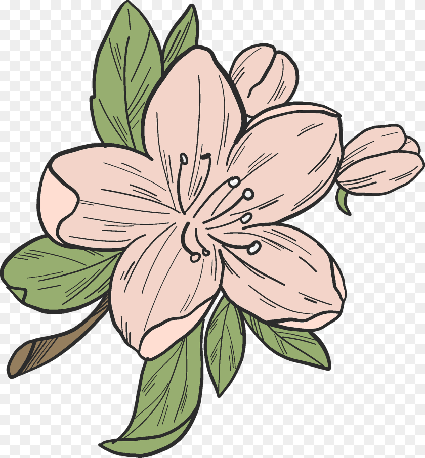 1780x1920 Apple Tree Flower Clipart, Plant, Baby, Pattern, Person Transparent PNG