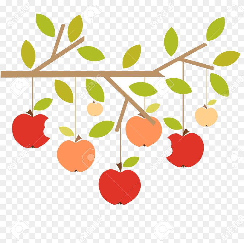 1251x1244 Apple Tree X Cherry Clipart Branch Collection Apple Tree Branch Clip Art, Food, Fruit, Leaf, Plant Sticker PNG